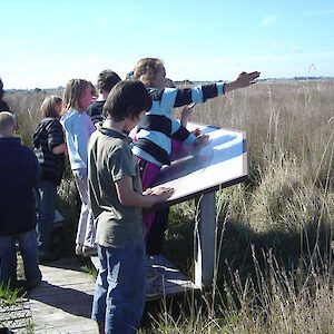 Newfield School pupils visit the boardwalk and learn about the jointed rush and the fernbirds that live there.