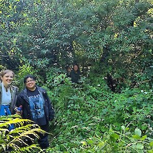 2025 January Before clearance - volunteers amongst the weeds.