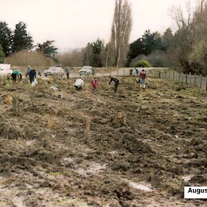 Original plantings undertaken in 1992.