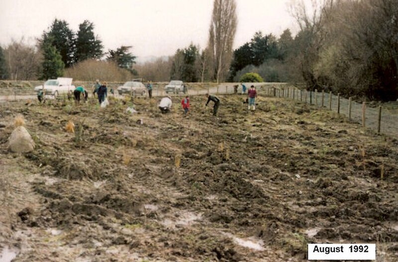 Original plantings undertaken in 1992.