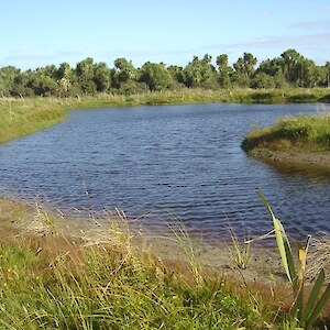 In 2006 an open water wetland was created with plantings undertaken the next spring.