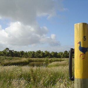 In 2008 the new track with interpretation signs and a trail guide were launched.