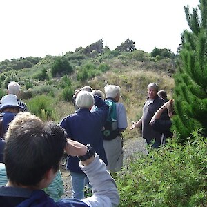 Robin Pagan, ICC Parks Manager, explains the process of removing pines in places around Sandy Point and allowing the natural regeneration to continue.