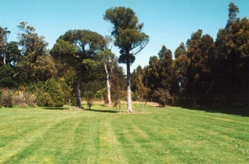 Before. This restoration began with just a stand of kahikatea in a grass paddock. Here you can see the difference with more recent planting.