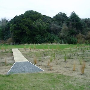 Entrance from Spence Ave. Plantings of wineberry by ICC in 2000 along east side have established well.