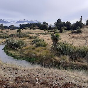 Looking from south side across Home Creek to car park area on right. The area had gorse bulldozed off about 3 decades ago, meaning very little soil to plant in to, so has been difficult to get plants growing in places. July 2022