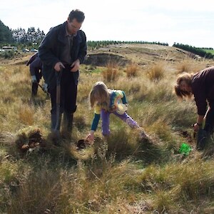 Planting working bee, 2008, with Forest and Bird - even the littlies can get involved, here putting water crystals in the hole to help plant survival on dry sites.