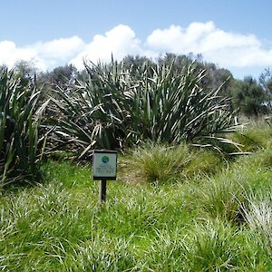 The wetland area is protected by a QEII National Trust Open Space Covenant.