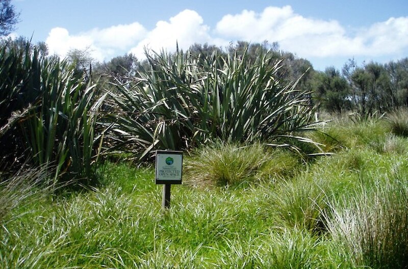 The wetland area is protected by a QEII National Trust Open Space Covenant.