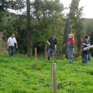 The YMCA Cons Corp have regularly assisted with planting, track maintenance and potting up seedlings at Sherwood Forest.