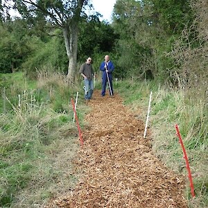 Track formed through Hedgehope School restoration plantings.