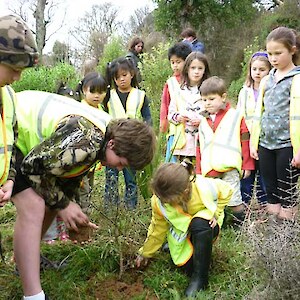 Hedgehope School's oldest and youngest pupil help to plant a Hector's tree daisy, June 2011.