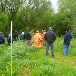 2007 Spring NZERN visit to the project saw the challenge faced in reveging a crack willow landscape. Ppt 1