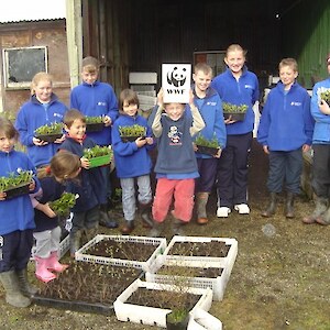 Limehills School pupils learn about plant propagation through cuttings and potting up seedlings.