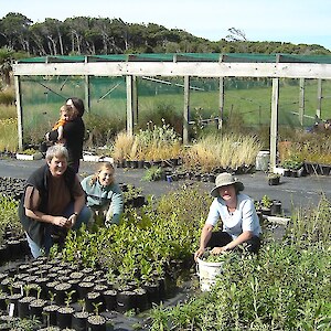 Some amazing Friday morning volunteers