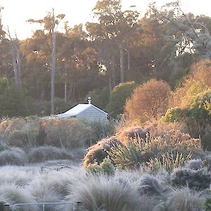 A frosty morning at the nursery