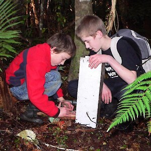 Jamie and Logan graduate to run their own trap line with support from mum or local volunteers.