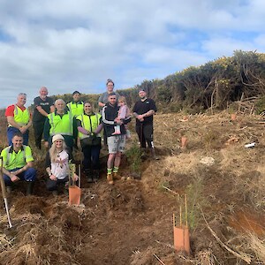 South Port NZ team put in two days of mahi in to gorse cleared area above Lagan St, planting 2,000 natives.