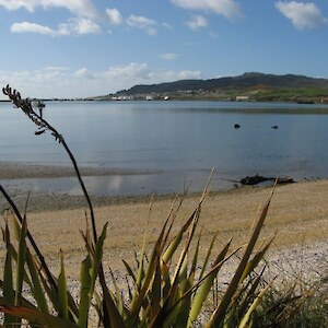 Bluff Hill from the shore of Bluff Harbour.