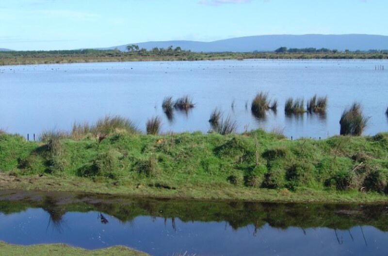 Big Lagoon March 2008.
