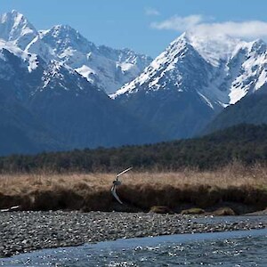 Eglinton Valley habitat.