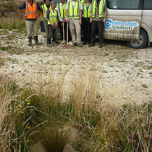 Volunteers with supervisor, Bruce, helped to clear red tussock and place carpet around them.