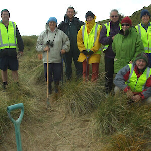 March 2014. Southland Forest & Bird monthly outing to Waipapa Point saw another 30 pingao plants in the ground. The challenge of stopping the plants from being smothered by sealions is an interesting one!