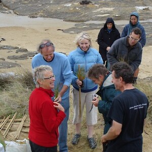 The Ericson Family Bequest has enabled this pingao restoration planting to be undertaken.