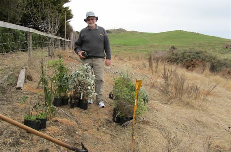 Malcolm MacKenzie with plants ready to go in to sprayed off ground.