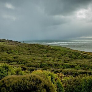 The Omaui Reserve lies in the full blast of the prevailing sou'westers over Foveaux Strait and the low canopy reflects that fact.