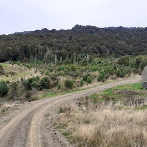 2022. Restoration plantings begun in 2012, seen from the top of the hill to the west.