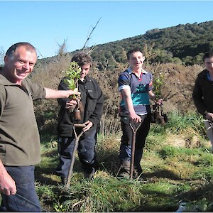 Beggs Bush Landcare Group member , Denis Warburton, shows the students how to plant the native trees. The dead gorse provides good shelter for the young plants. 2012