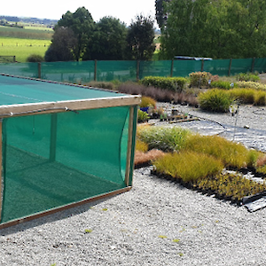 The final stay in the nursery is outside to harden the plants off before they go in the ground. In spring 2021 the nursery has plant stocks of 15,000.