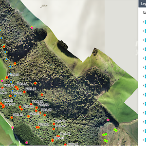 Trapping is well mapped, with data being recorded over time. Analysis of this data will let us see where the hot spots are so we can focus traps in those areas. Pest animal species controlled are rats, mustelids, cats, possums, and we hunt for goats, pigs, and deer.