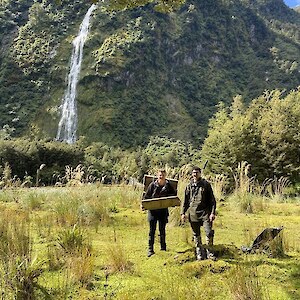 Trapping for stoats is the major goal of those involved in the Valleys Project, here in the Irene Valley.