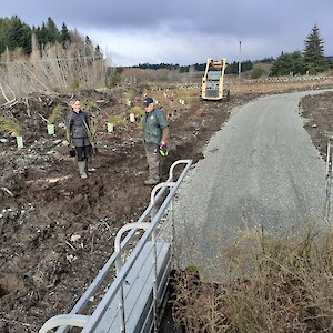 2022 July. This area adjoining the cycleway/walking track was previously exotic trees. Contractors have now replaced these with 2,000+ native trees.