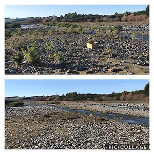 The Upukerora River bed is an important nesting site for several species of our native birds. Removal of lupins makes the area safer for the birds as it's not so easy for predators to sneak up on them.