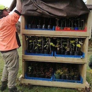 How to transport plants to a remote location.