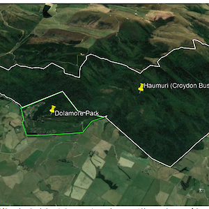 Haumuri/Croydon Bush and Dolamore Park boundaries.