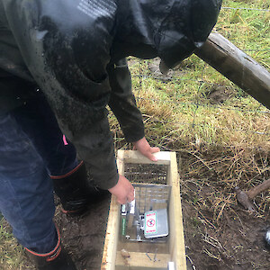 Getting a stoat box ready to install along the Otago/Southland buffer zone.