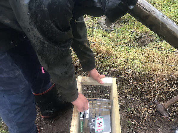 Getting a stoat box ready to install along the Otago/Southland buffer zone.