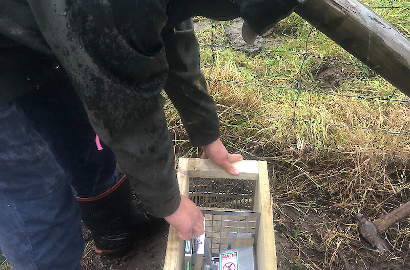 Getting a stoat box ready to install along the Otago/Southland buffer zone.