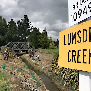 2019. The project begins planting below the historic rail bridge in Lumsden town. Photopoint 1.