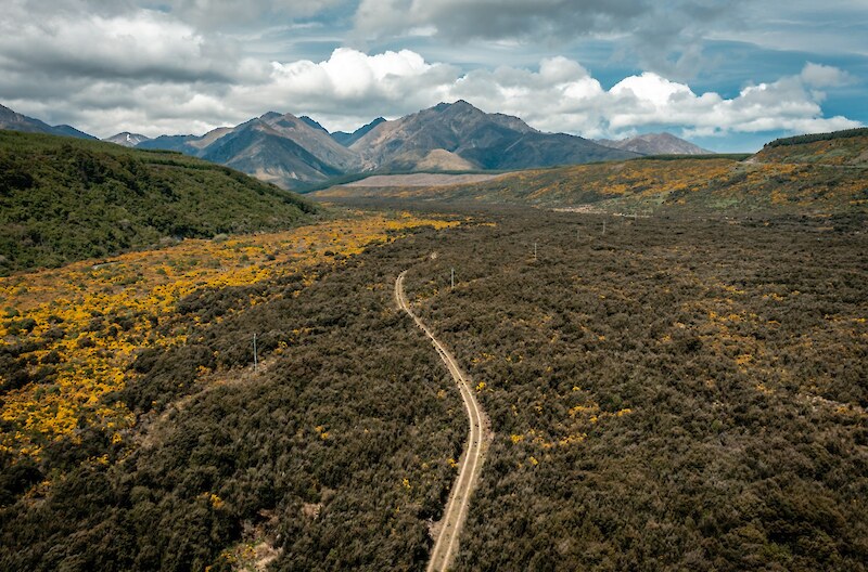 2022 Looking up the valley to the Takitimus. With a good local seed source, natural regeneration is already coming through the broom.