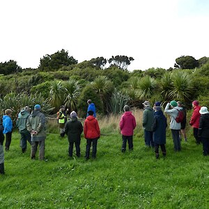 The SERN gathering at Rimu Grazing Ltd, Waimatua, checking out the 20 year old reveg project of then owners, the Irvings, following the removal of a pine plantation/shelter belt.