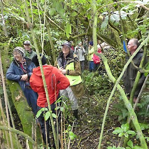 Discussion on what was used as plant surrounds (woolpacks and carpets, still seen to be present) and whether elderberry is a threat in this situation.