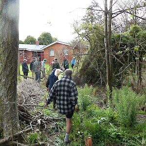 An area on the north west where sycamore and blackberry dominated. Natural regeneration plus restoration plantings here are another step in ensuring the good health of kew Bush.