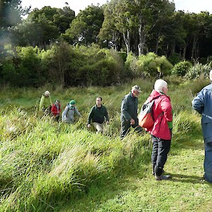 A wet area on the south side that Friends of Kew Bush hope to plant out in the future.