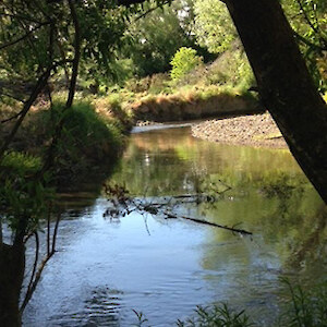 A tranquil spot, except when there's a working bee in progress! Still time for a quiet moment though.