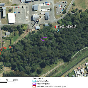 Map of Kew Bush - work areas for 25 Jan highlighted